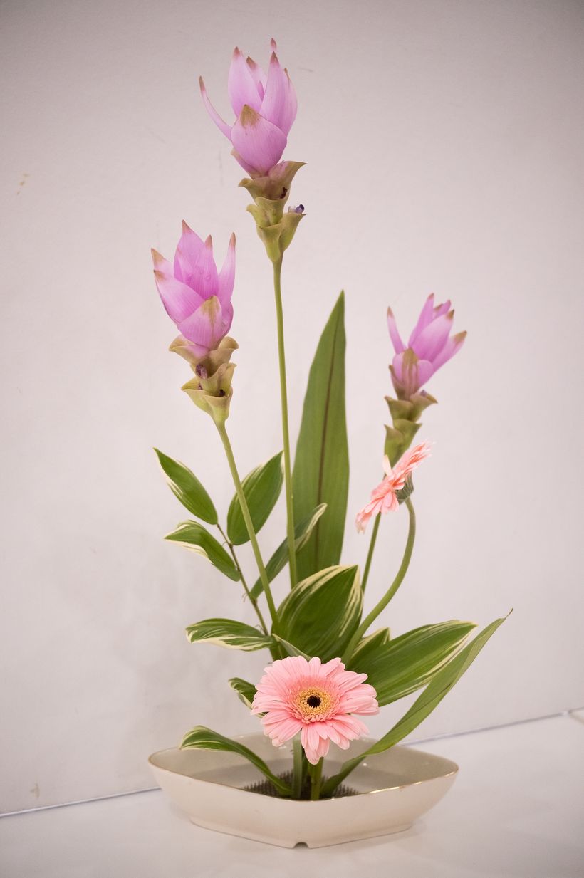 Ikebana School - Final result