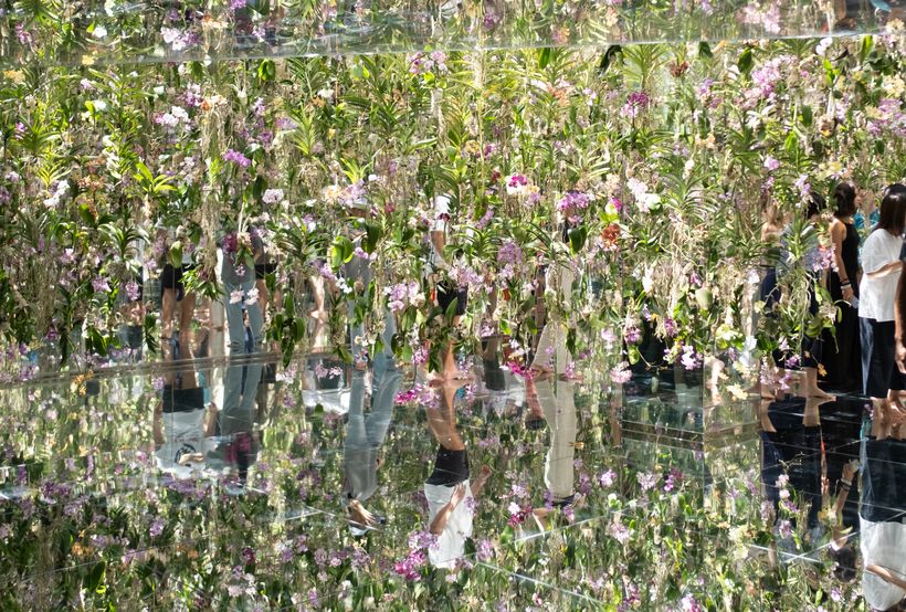 teamLab Planets Flowers
